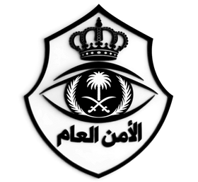 Public Security